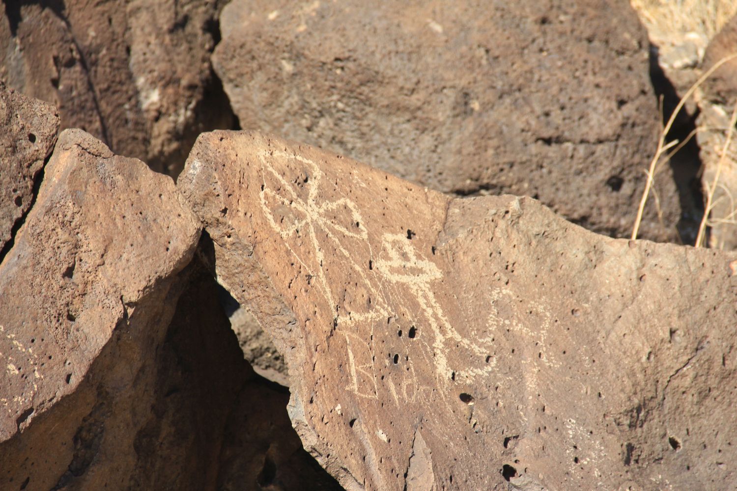 Petroglyph National Monument 